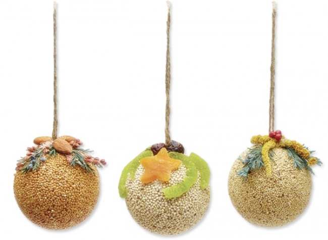 Fruit and Nut Bird Seed Ball Ornaments